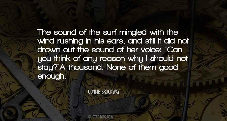 A Voice In The Wind Quotes #621899
