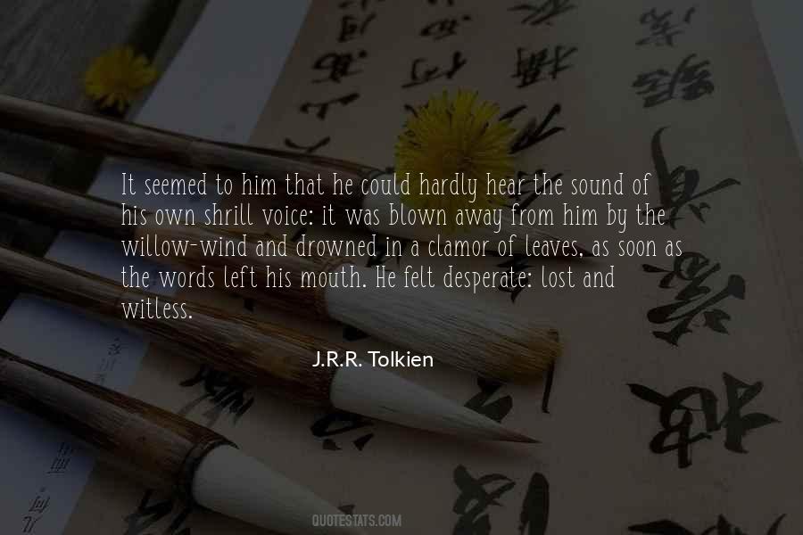 A Voice In The Wind Quotes #653987