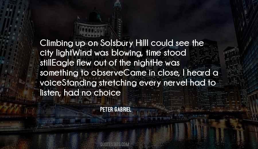 A Voice In The Wind Quotes #754295