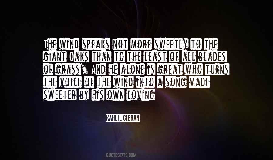 A Voice In The Wind Quotes #784593