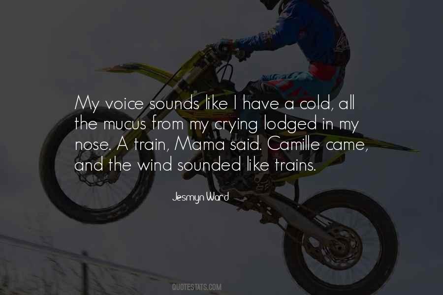 A Voice In The Wind Quotes #855797