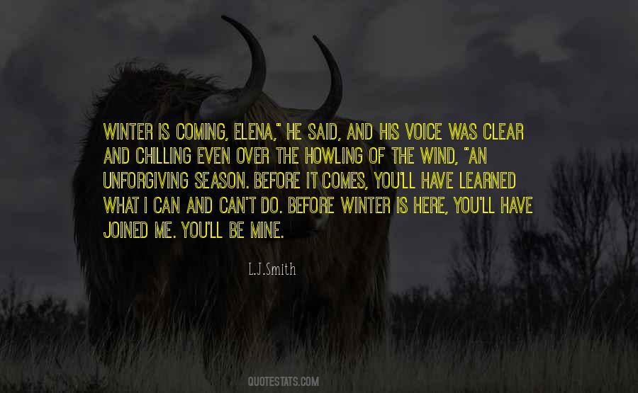 A Voice In The Wind Quotes #878582