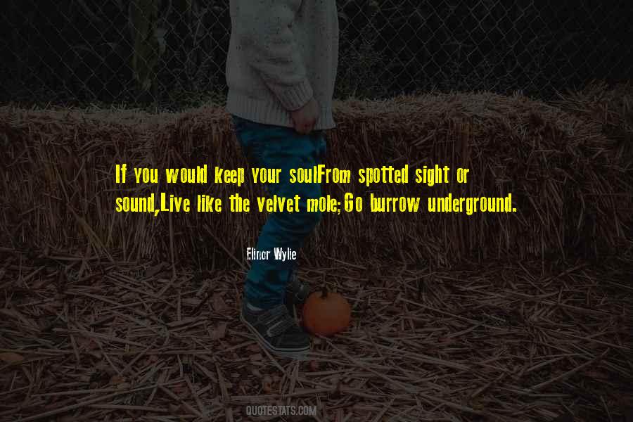 Quotes About The Velvet Underground #1656504