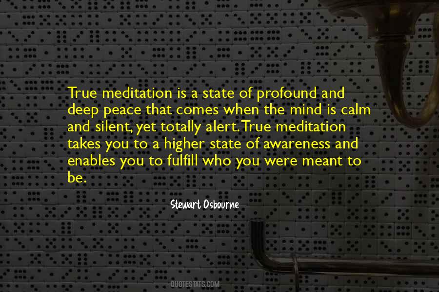 True Meditation Quotes #1222756