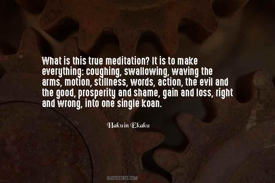 True Meditation Quotes #1533881