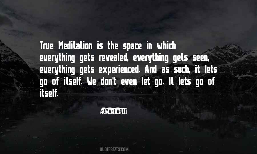True Meditation Quotes #1573315