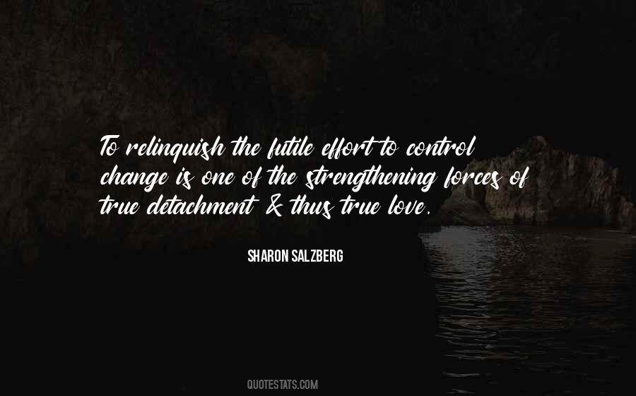 True Meditation Quotes #494565