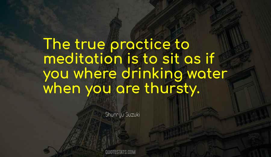 True Meditation Quotes #530428