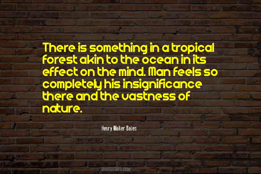 Quotes About The Vastness Of Nature #955577