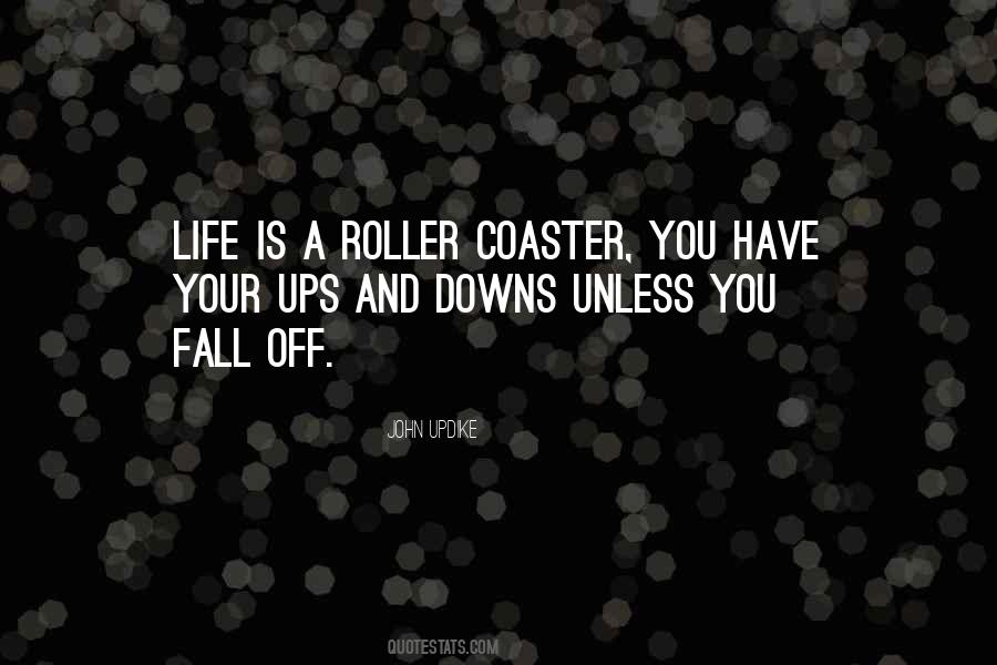 Roller Coaster Of Life Quotes #1774005