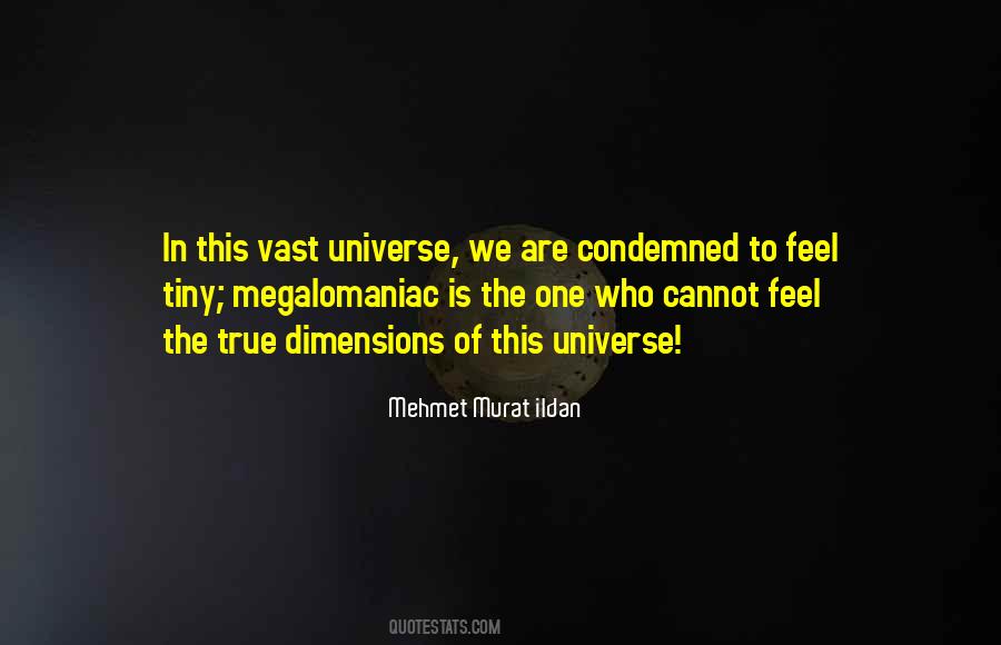 Quotes About The Vast Universe #1751520