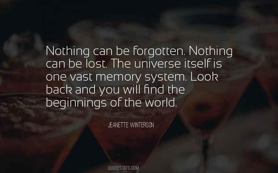 Quotes About The Vast Universe #334555