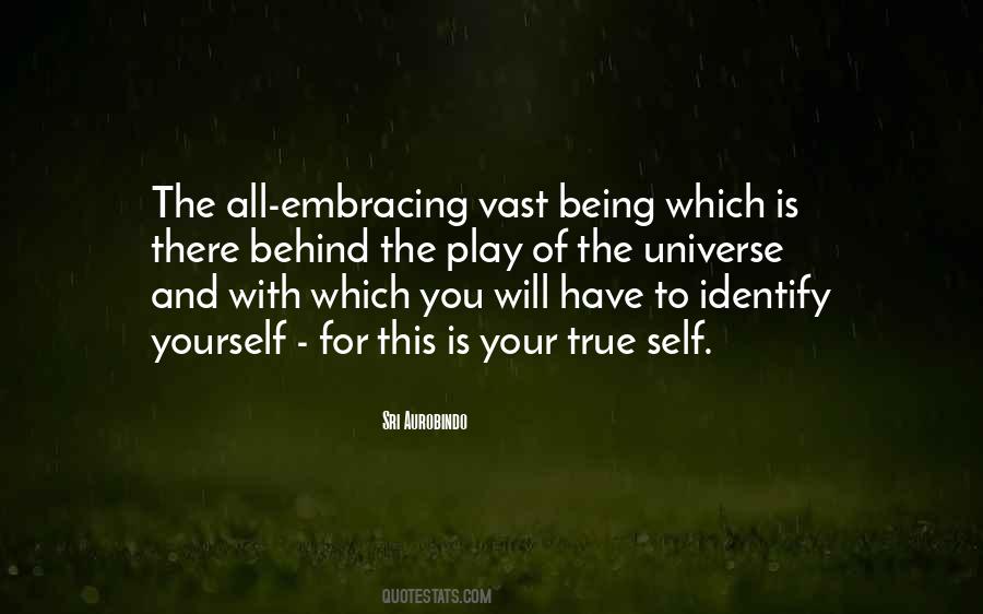 Quotes About The Vast Universe #376721