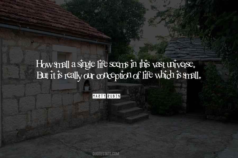 Quotes About The Vast Universe #541477