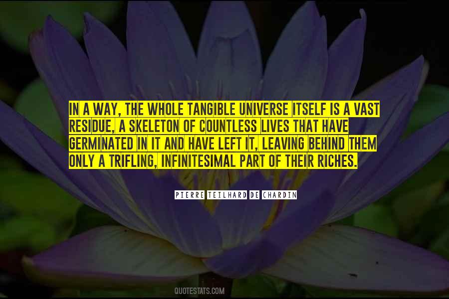Quotes About The Vast Universe #651396