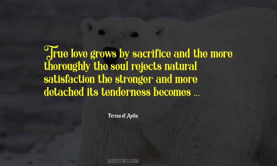 Spirit Colorado Quotes #1539655