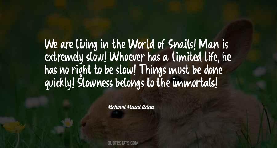 Slowness Of Life Quotes #1402223