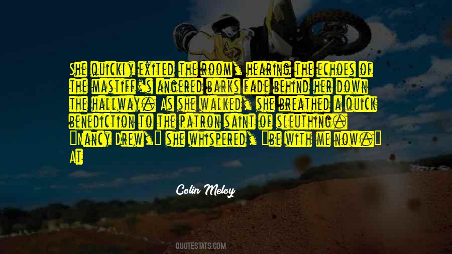 Country Ornaments Quotes #1027963