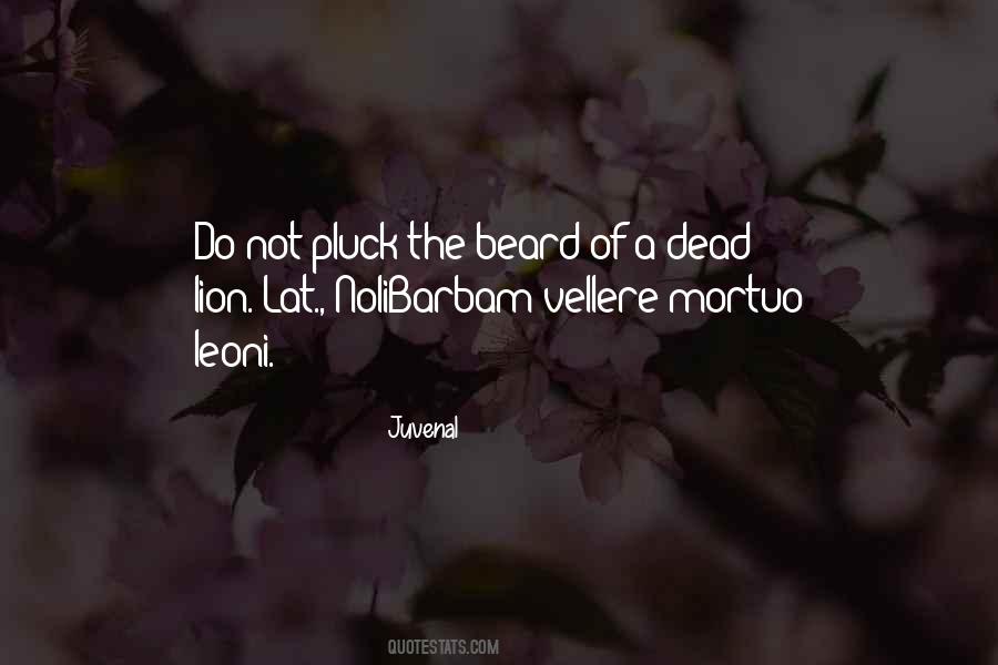 Beard Quotes #994957