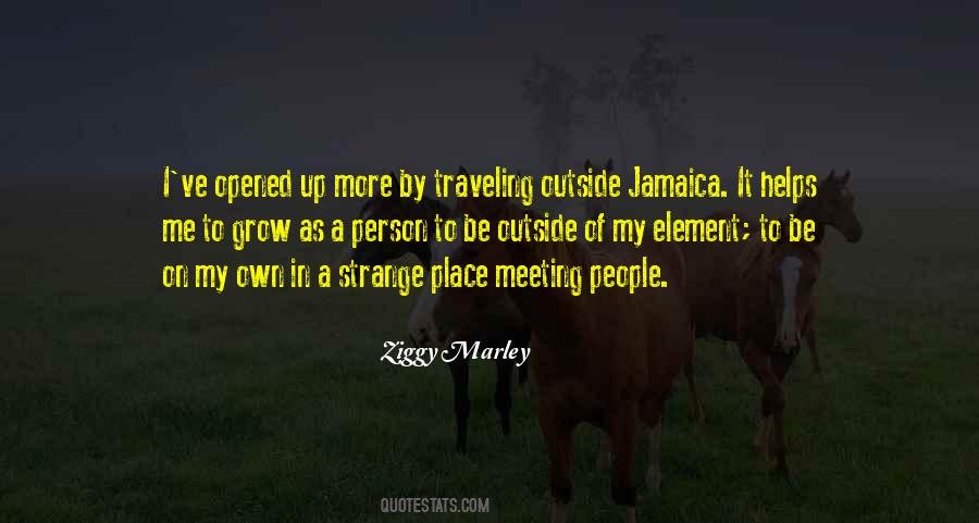 Quotes About Meeting People While Traveling #387657