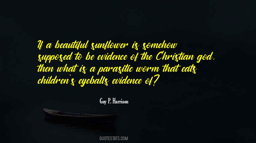Hanneman Siferd Quotes #1253410