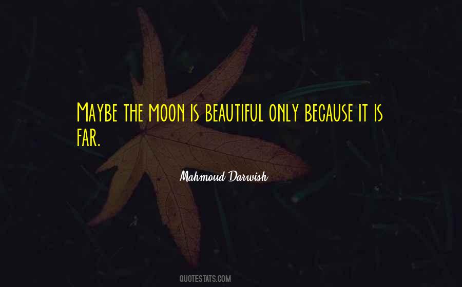 Beautiful As The Moon Quotes #380977