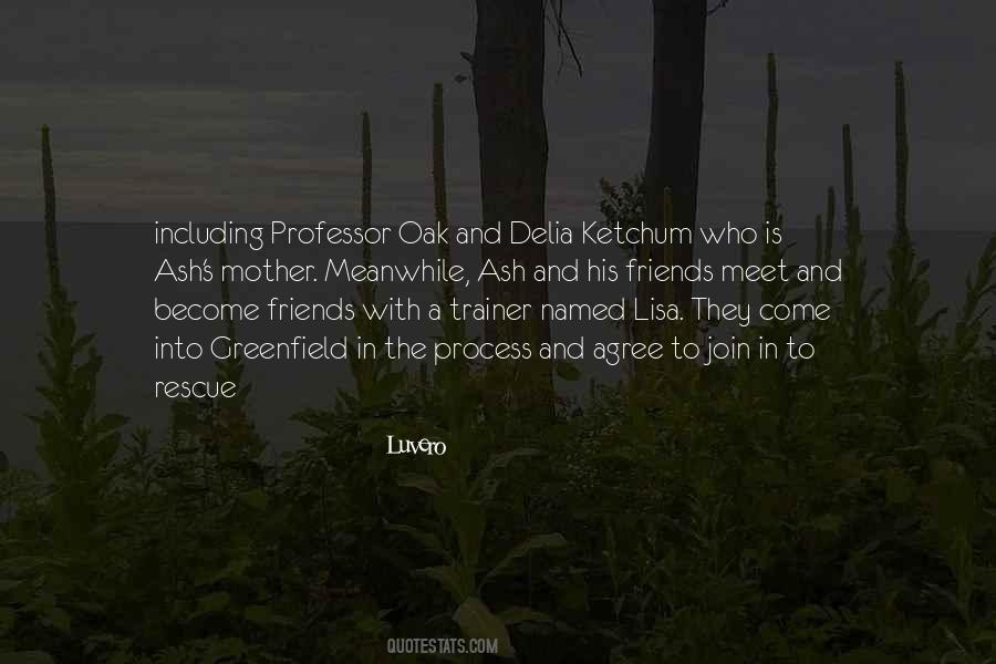 Quotes About Meet Friends #168921