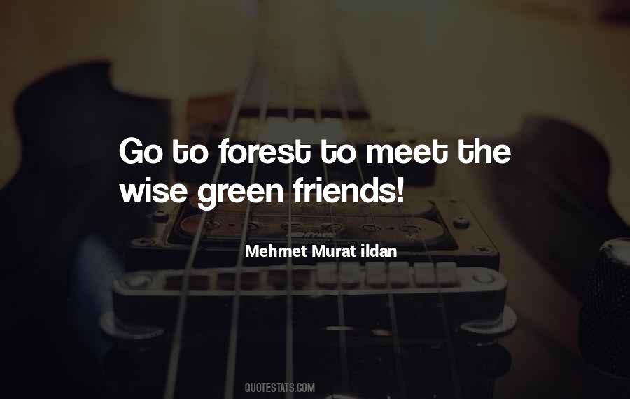Quotes About Meet Friends #57703