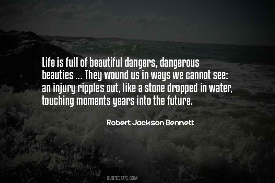 Beautiful But Dangerous Quotes #852055