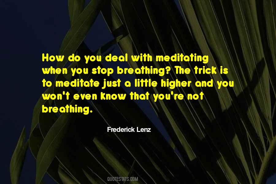 Quotes About Meditating #1164385