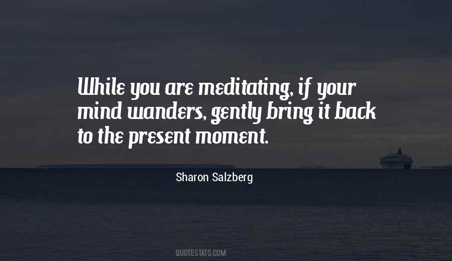 Quotes About Meditating #1756502