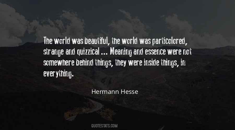 Beautiful Inside And Outside Quotes #494040