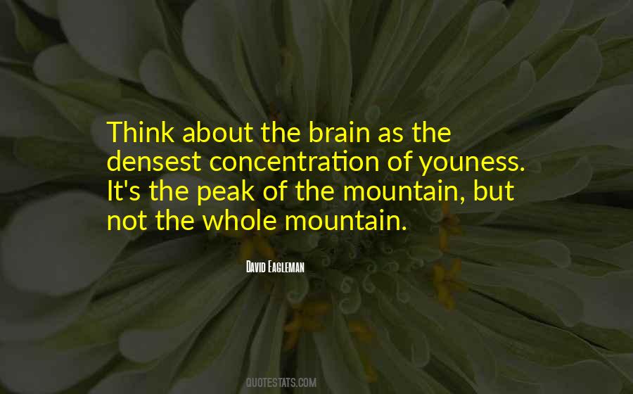 Beautiful Mind Movie Quotes #356941