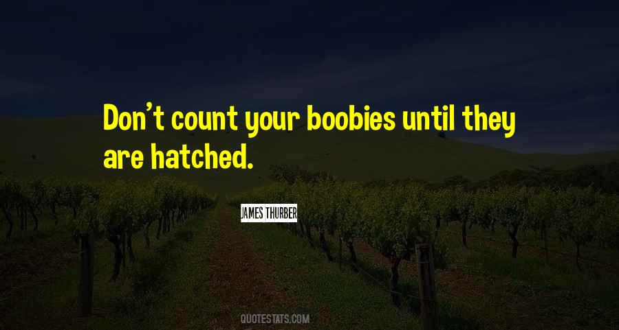 Boobies Quotes #53653