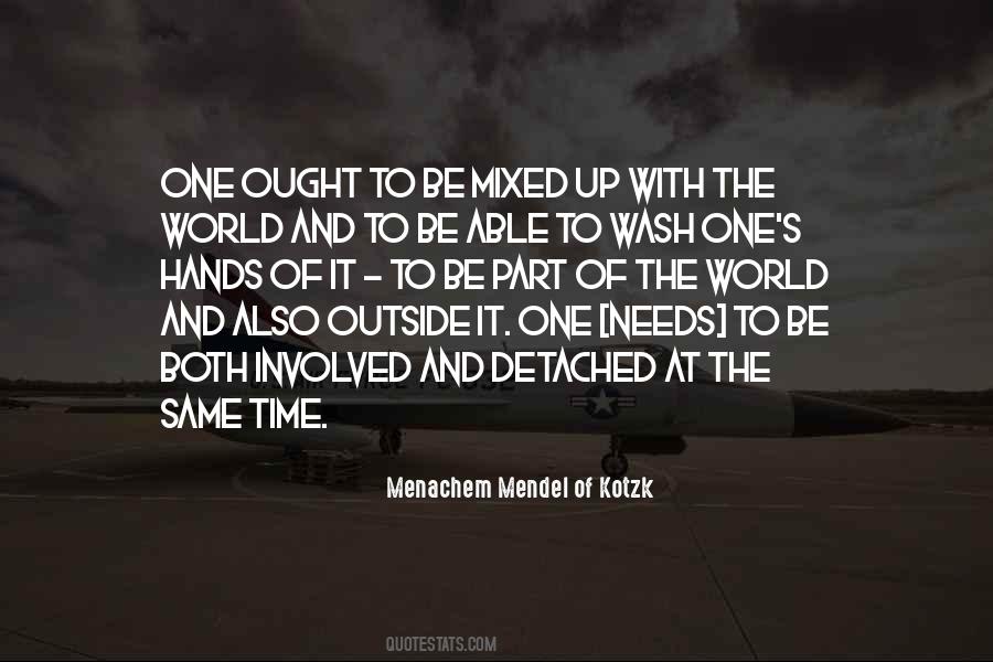 Mendel Menachem Quotes #1203678