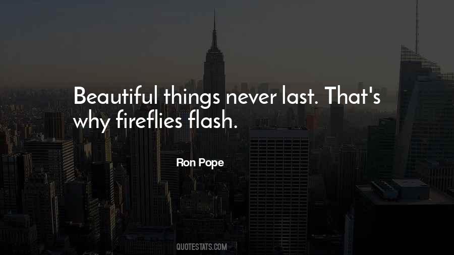 Beautiful Things Never Last Quotes #58461