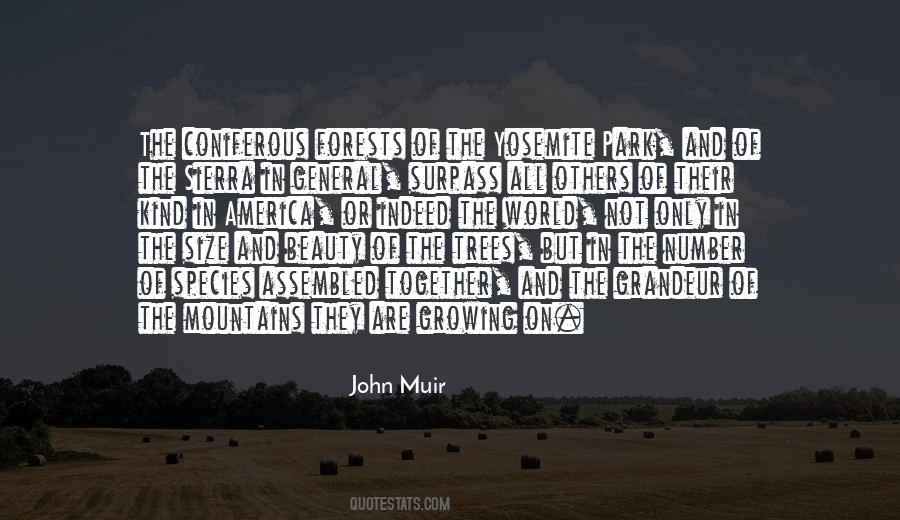 Beauty At Any Size Quotes #299051