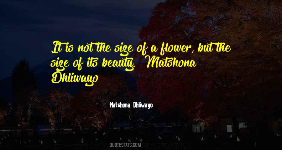 Beauty At Any Size Quotes #850028