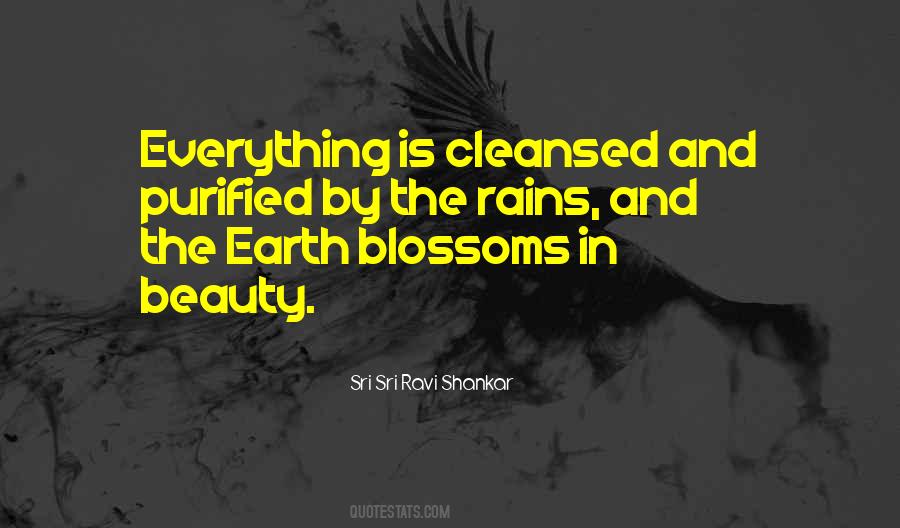 Beauty In Everything Quotes #268209