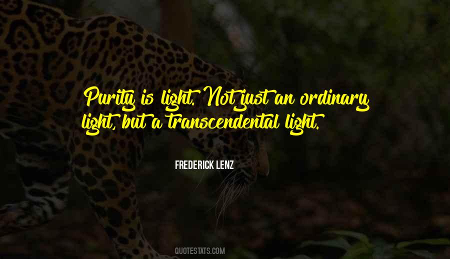 Ordinary Light Quotes #1422331