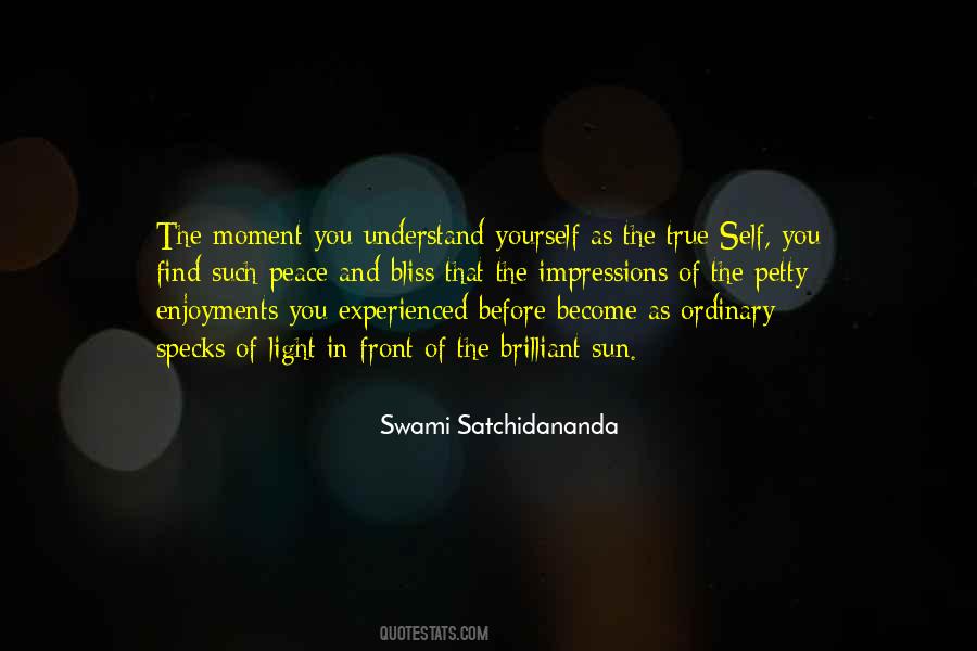 Ordinary Light Quotes #1839177