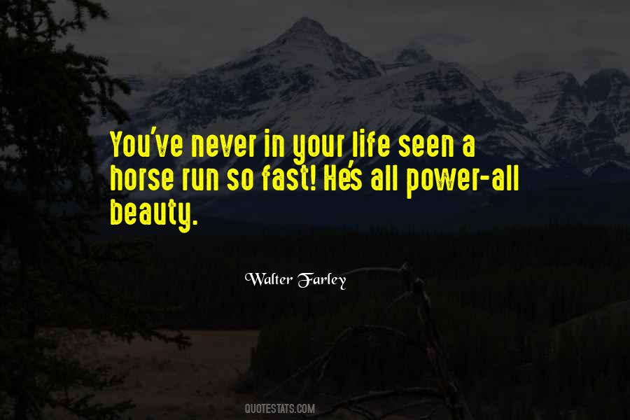 Beauty In You Quotes #39035