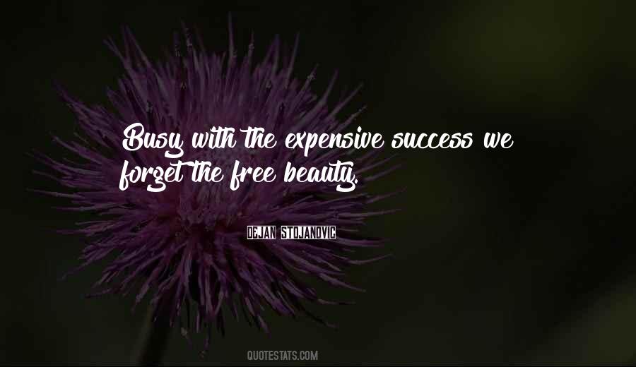 Beauty Is Expensive Quotes #976738