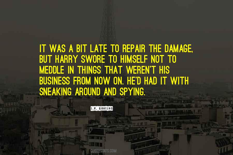 Quotes About Meddling In Others Business #756896