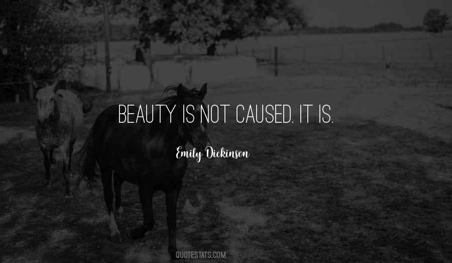 Beauty Is Not Quotes #1716748