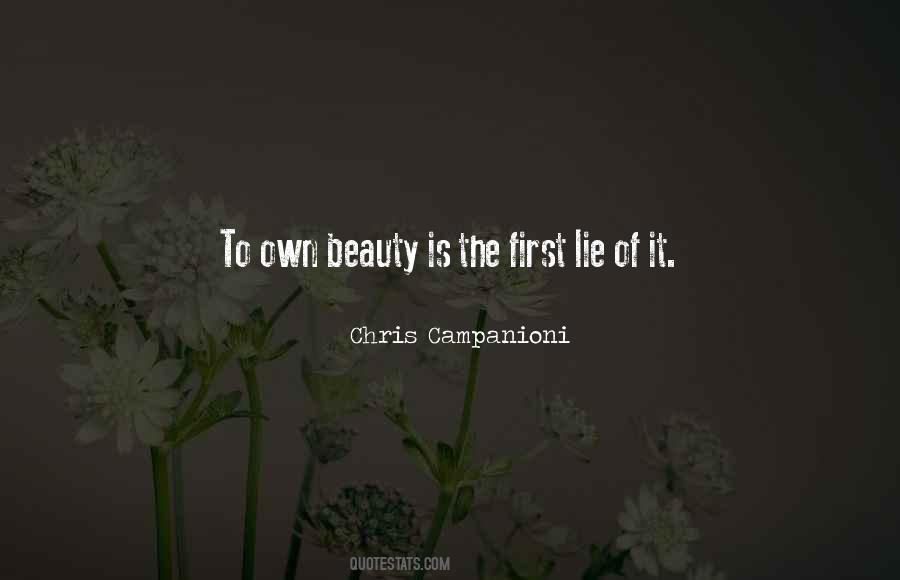 Beauty Lies Quotes #50320