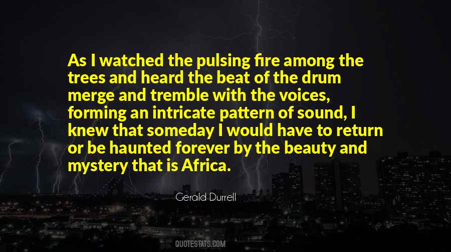 Beauty Of Africa Quotes #1080249