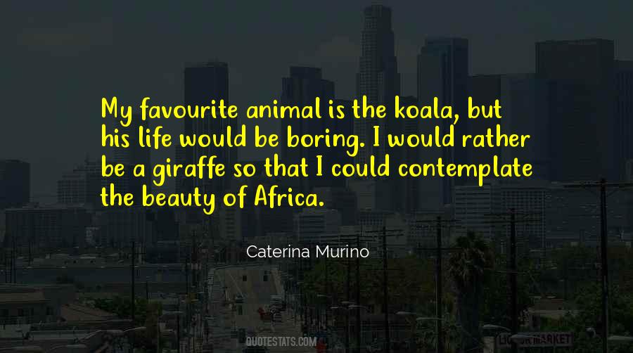 Beauty Of Africa Quotes #1512361