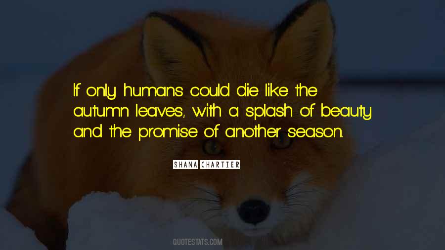 Beauty Of Life And Death Quotes #1103504