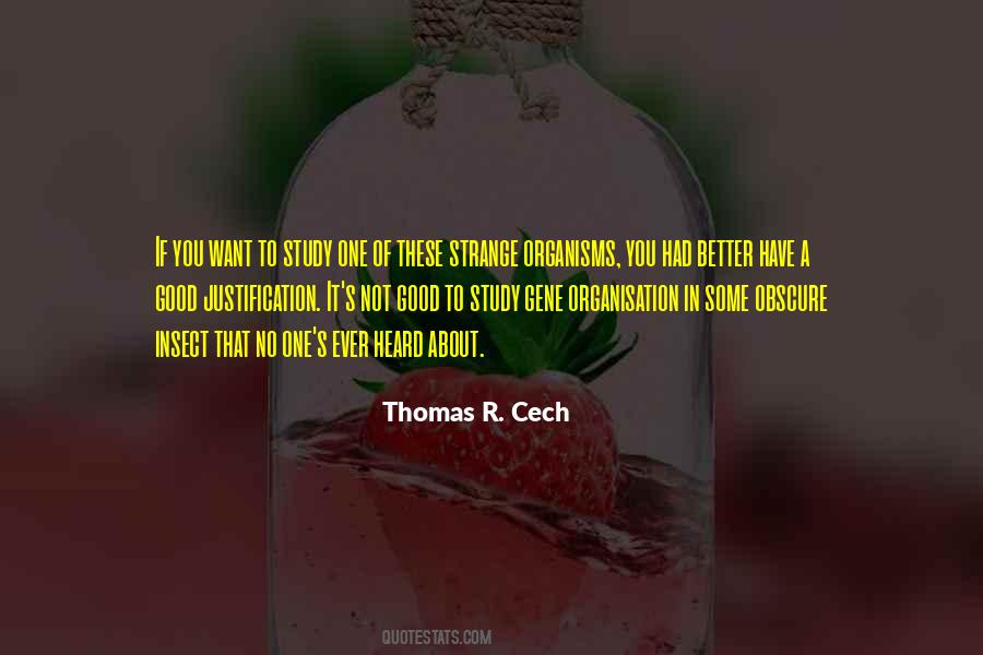 Ever Heard Quotes #969611